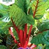 Fröer Nelson Garden Mangold Rubarb Chard