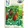 Fröer Nelson Garden Miniplommontomat Krebs Brown Tasty Hög