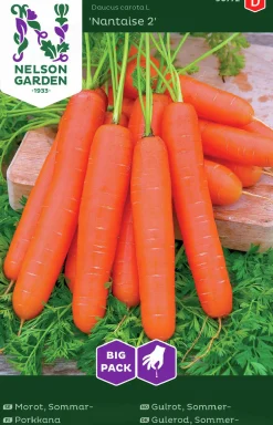 Fröer Nelson Garden Morot Sommar Nantaise 2 Big Pack
