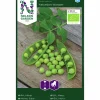 Fröer Nelson Garden Märgärt Kelvedon Wonder Organic