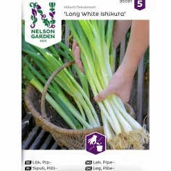 Fröer Nelson Garden Piplök Long White Ishiku Såband