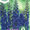 Fröer Nelson Garden Praktriddarsporre Blue Donna