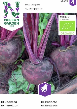 Fröer Nelson Garden Rödbeta Detroit 2 Rund