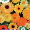 Fröer Nelson Garden Ringblomma Blandade Färger Big Pack