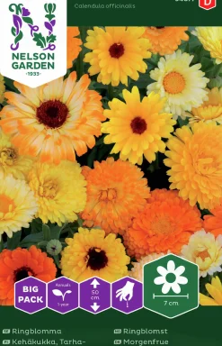 Fröer Nelson Garden Ringblomma Blandade Färger Big Pack