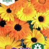 Fröer Nelson Garden Ringblomma Daisy Citrus Mix Låg