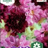 Fröer Nelson Garden Rosenskära Double Click
