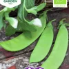 Fröer Nelson Garden Sockerärt Norli Låg Organic