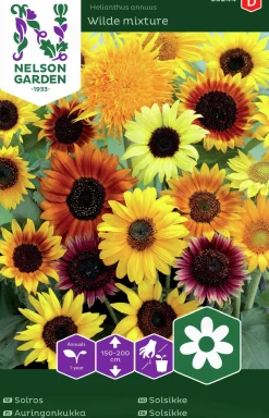 Fröer Nelson Garden Solros Blandade Sorter Hög
