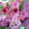 Fröer Nelson Garden Sommarblommor Mix Rosa