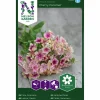 Fröer Nelson Garden Sommarflox Cherry Caramel