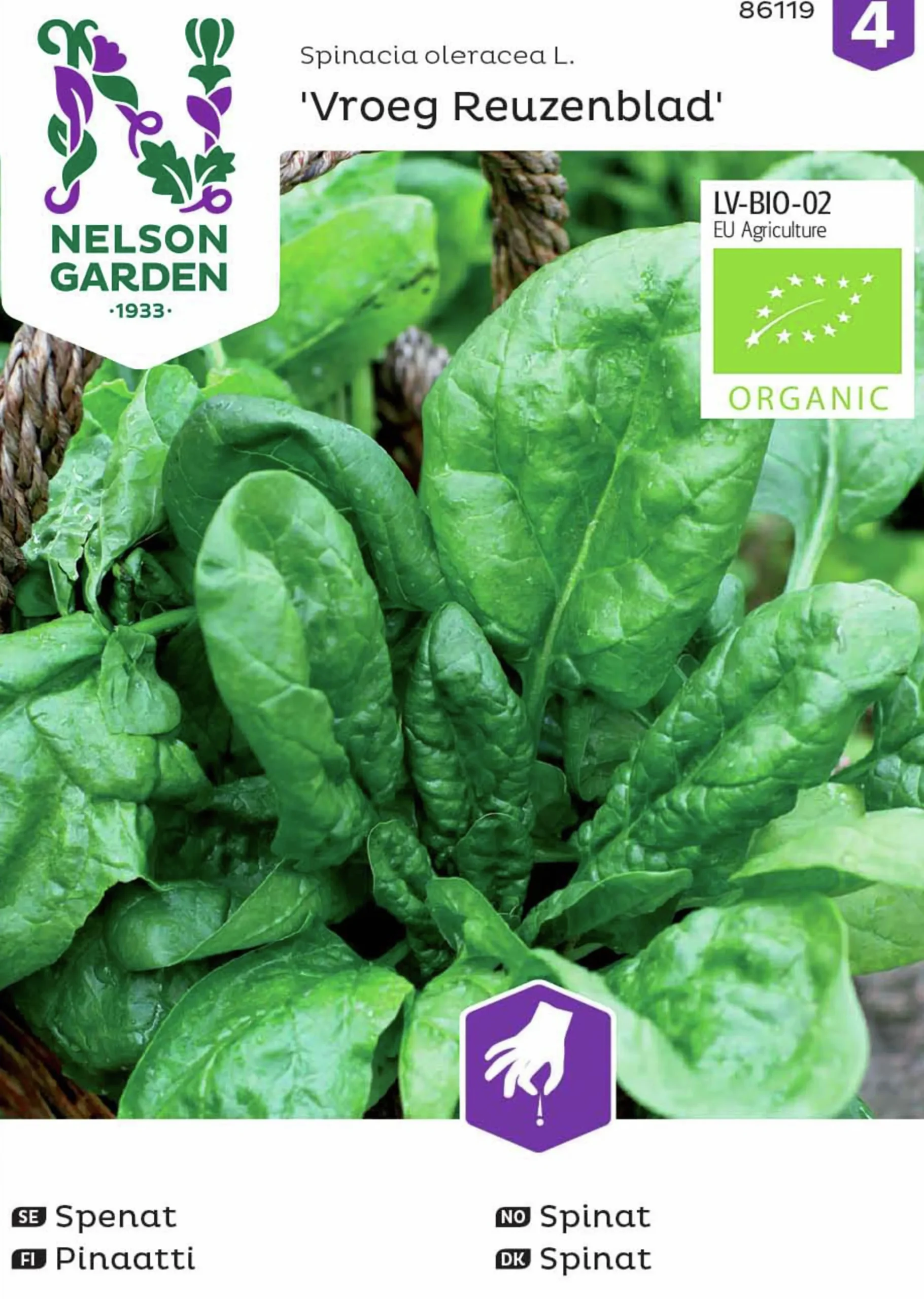 Fröer Nelson Garden Spenat Vroeg Reuzenbald