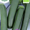 Fröer Nelson Garden Squash Black Beauty Organic