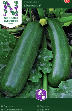 Fröer Nelson Garden Squash Diamant F1