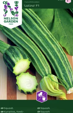 Fröer Nelson Garden Squash Latino F1