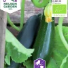 Fröer Nelson Garden Squash/Sommarpumpa Black Beauty Organic