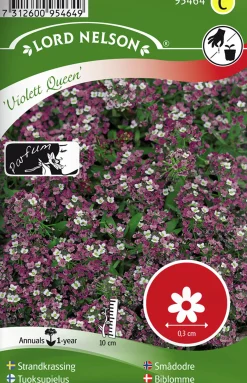 Fröer Nelson Garden Strandkrassing Violett Queen