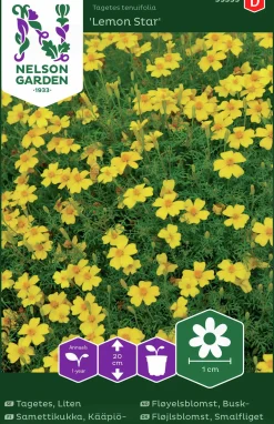 Fröer Nelson Garden Tagetes Lemon Star Liten