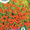 Fröer Nelson Garden Tagetes Tangerine Gem Liten