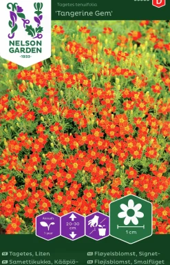 Fröer Nelson Garden Tagetes Tangerine Gem Liten