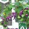 Fröer Nelson Garden Törnrosas Kjortel