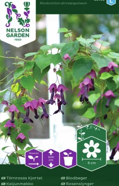 Fröer Nelson Garden Törnrosas Kjortel