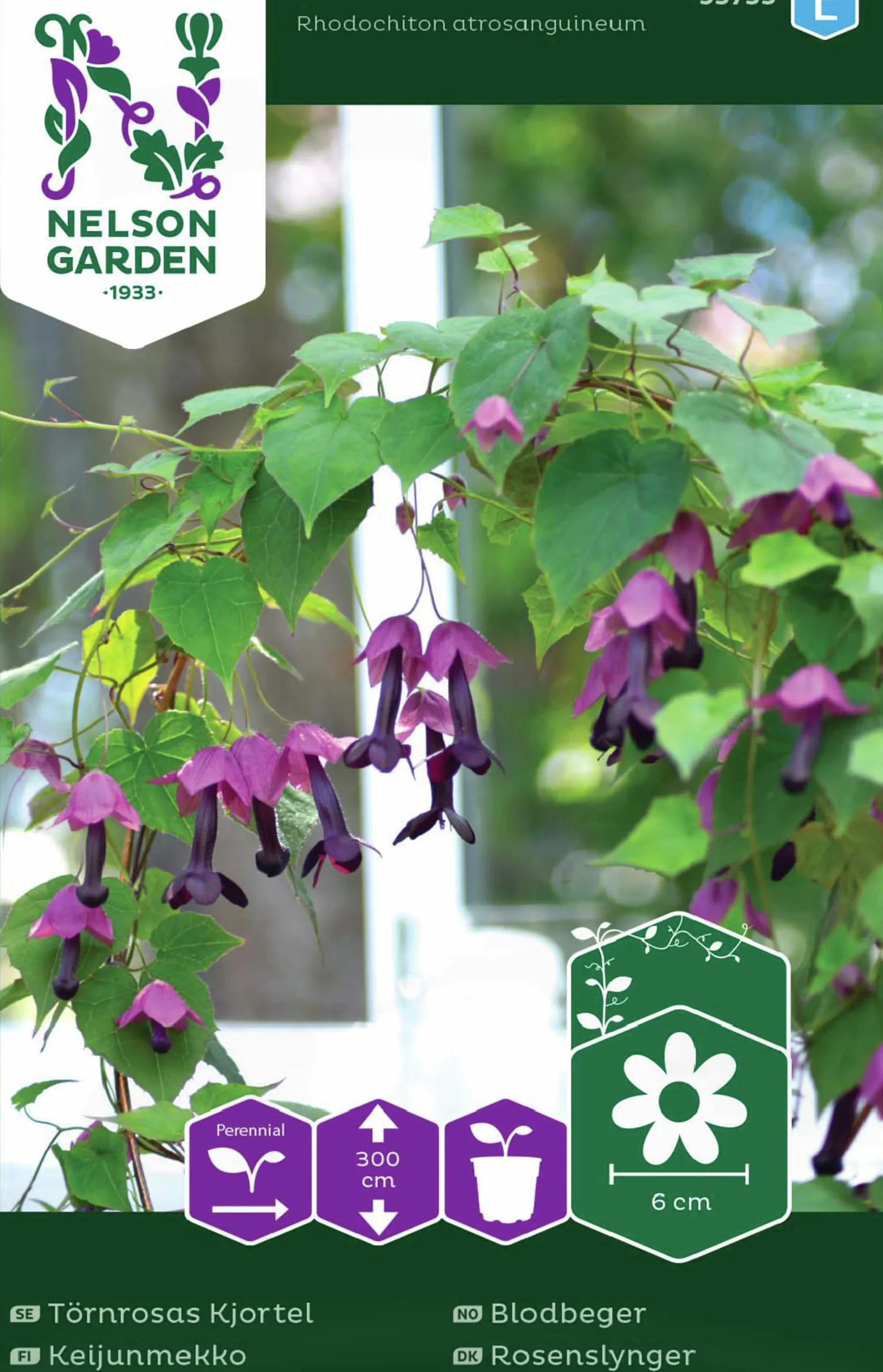 Fröer Nelson Garden Törnrosas Kjortel