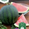 Fröer Nelson Garden Vattenmelon Sugar Baby