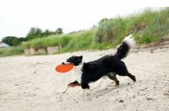 Frisbee i Naturgummi Trixie Ø18cm Blandade färger