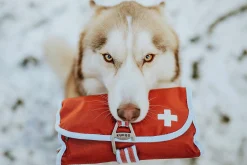 Första Hjälpen-kit Kurgo 50 delar