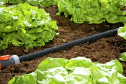 Fuktslang Gardena 1/2" 15m