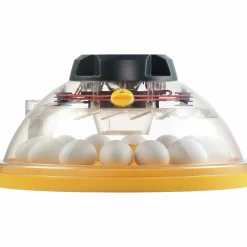 Äggkläckningsmaskin Brinsea Maxi II Advance