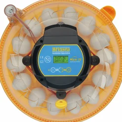 Äggkläckningsmaskin Brinsea Maxi II Advance