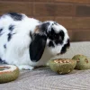 Gnagarleksak Rosewood Treat 'n' Gnaw Bunny Buns 8cm 2-p