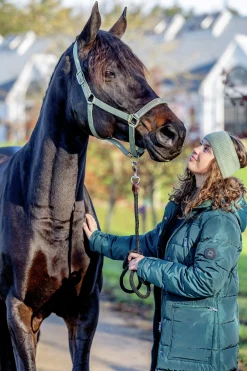 Grimma Horseguard Malva Pretty Girl