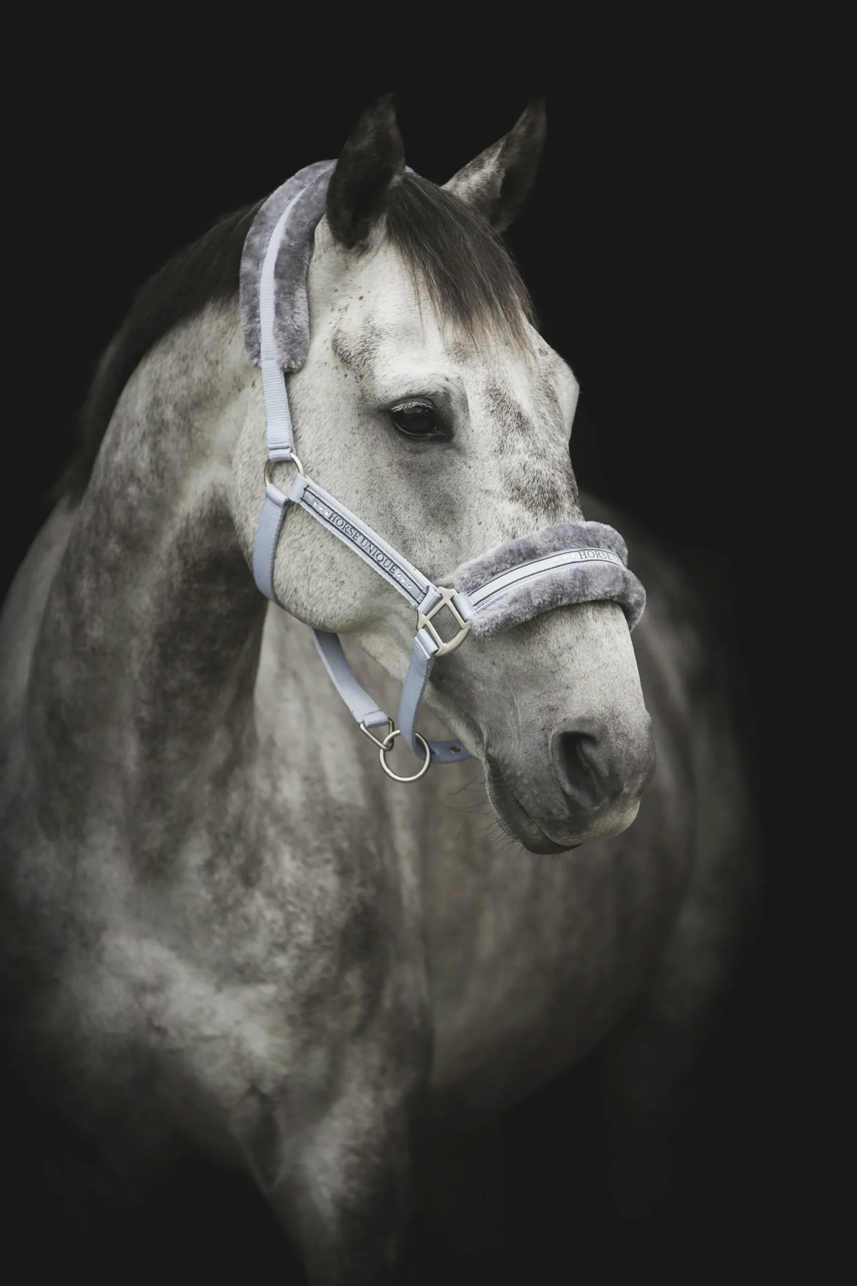 Grimma Horse Unique med ludd Ljusblå