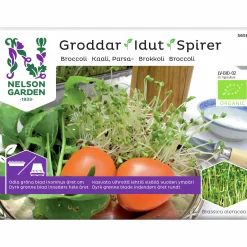 Groddar Nelson Garden Broccoli Organic
