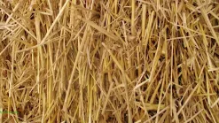 Halm To Gode Naboer Havre 1,5kg
