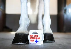Hov- och Veterinärtejp Outdoor tapes Vit 18m