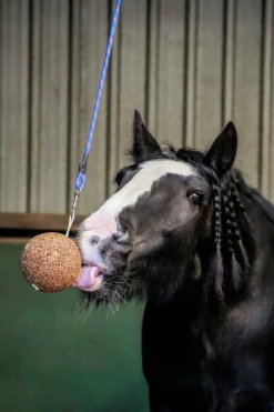 Hästgodis Likit Stallboll Granolo Äpple 1,5kg