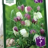 Höstlök Nelson Garden Kungsängslilja Mix