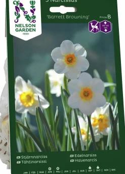 Höstlök Nelson Garden Stjärnnarciss Barret Browning