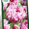 Höstlök Nelson Garden Tulpan Dazzling Desire Sen Fylld