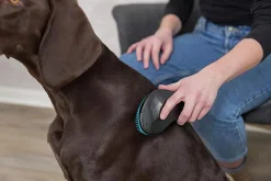 Hundborste Trixie Mjuk i Plast Turkos 19cm