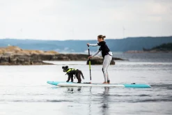 Hundflytväst Baltic Mascot, Neongul/svart