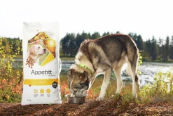 Hundfoder Appetitt Light 12kg