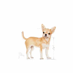 Hundfoder Royal Canin Chihuahua Adult 3kg