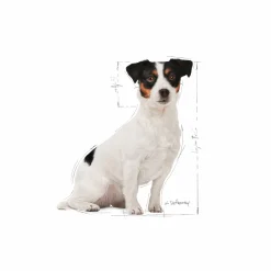 Hundfoder Royal Canin Mini Adult 8+ 2kg