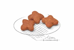 Hundfoder Royal Canin Mini Adult 8+ 8kg