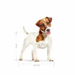 Hundfoder Royal Canin Mini Adult